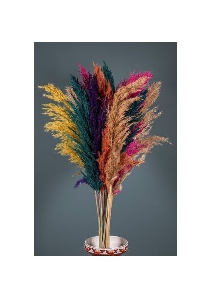 Dekoratif Pampas Otu 16LI Ilkbahar Esintisi 60/100CM