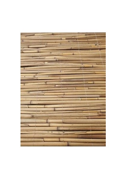 Kamış Çit Kamış Hasır Kamış Bambu 1,5*5 Metre Gölgelik Doğal Kamış Hasır Çit-Gölgelik-Rüzgar Perdesi fırsatları