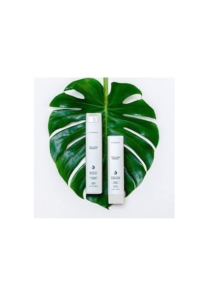 Healing Strength White Tea Zayıf ve Yıpranmış Saçlar Için Güçlendirici Sülfatsız Şampuan 1000ML fırsatları