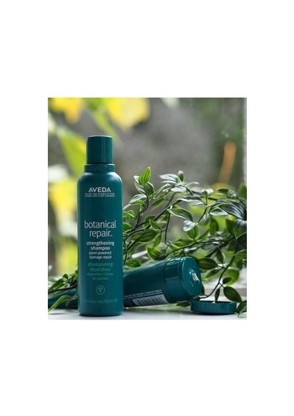 Botanical Repair Yıpranmış Saçlar Için Onarıcı Vegan Şampuan 250 ml indirimleri