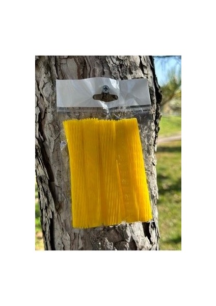 File Seti 10 Lu Sarı Sar1, One Size