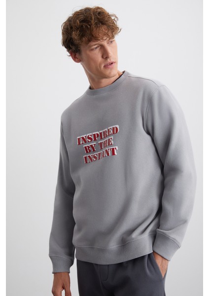 EREKLE Erkek Pamuk-Polyester Nakışlı Açık Gri Sweatshirt modelleri