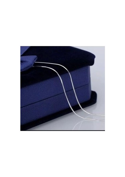 Paslanmaz Çelik Boru Yılan Sırtı Kolye 3mm ml Unisex 60 Sm Uzatma