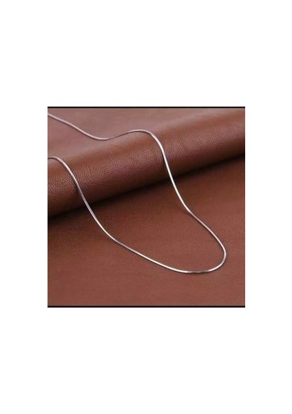 Paslanmaz Çelik Boru Yılan Sırtı Kolye 3mm ml Unisex 60 Sm Uzatma fiyatları