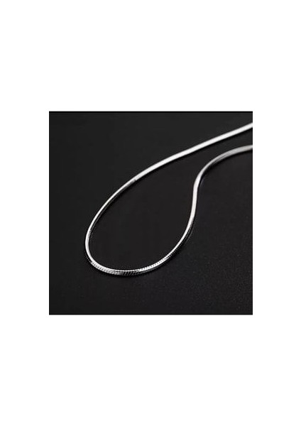 Paslanmaz Çelik Boru Yılan Sırtı Kolye 3mm ml Unisex 60 Sm Uzatma modelleri