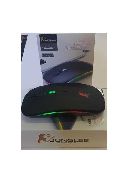 Rgb LED Işıklı Şarjlı Kablosuz Mouse Sessiz 2.4 Ghz USB Wireless 800-1200-1600 Ayarlanabilir Dpi
