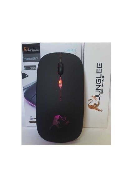 Rgb LED Işıklı Şarjlı Kablosuz Mouse Sessiz 2.4 Ghz USB Wireless 800-1200-1600 Ayarlanabilir Dpi