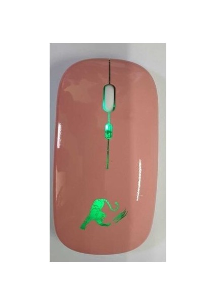 Rgb LED Işıklı Şarjlı Kablosuz Mouse 2.4 Ghz 800-1200-1600 Ayarlanabilir Dpi Sessiz