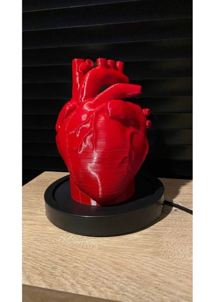 Tekno Trust Kalp Lamba Sevgililer Günü Kalp Biblo Fanus Içerisinde Anatomik Kalp Romantik