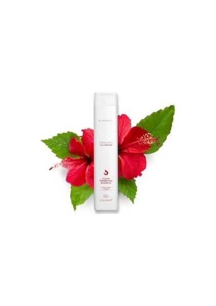 Healing Colorcare: Gugo Kabuğu Içeren Sülfatsız Nemlendirici Şampuan (10.1fl) ECBEAUTY!Q356 fiyatları