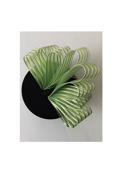 Çizgili Şifon Kurdele (Kurdale) 2.5cm x 20METRE. Renk No:15 modelleri