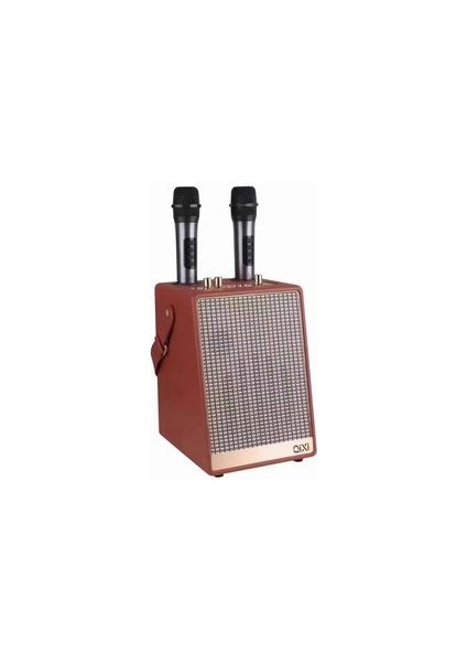 30W Karaoke Çift Mikrofonlu Bluetooth Hoparlör Şarjlı Kablosuz Speaker