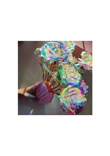 Sonsuzluk Gülü fiyatları