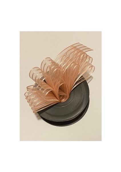 Çizgili Şifon Kurdele (Kurdale) 2.5cm x 20METRE. Renk No:11