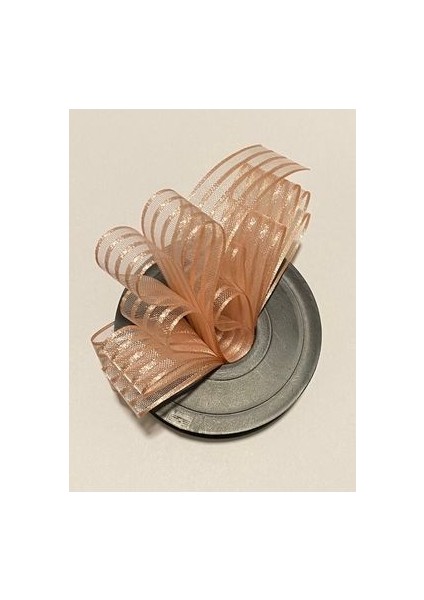 Çizgili Şifon Kurdele (Kurdale) 2.5cm x 20METRE. Renk No:11 modelleri