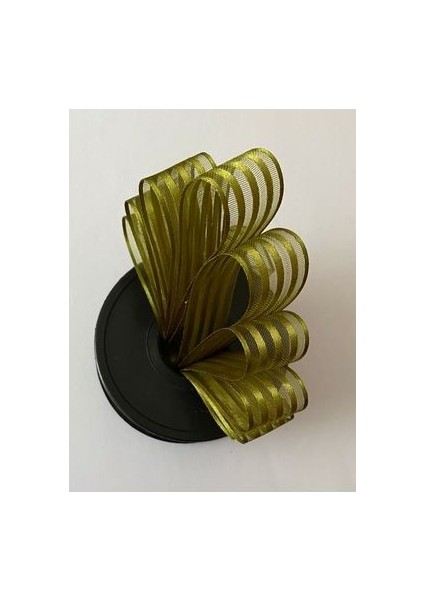 Çizgili Şifon Kurdele (Kurdale) 2.5cm x 20METRE. Renk No:17 modelleri