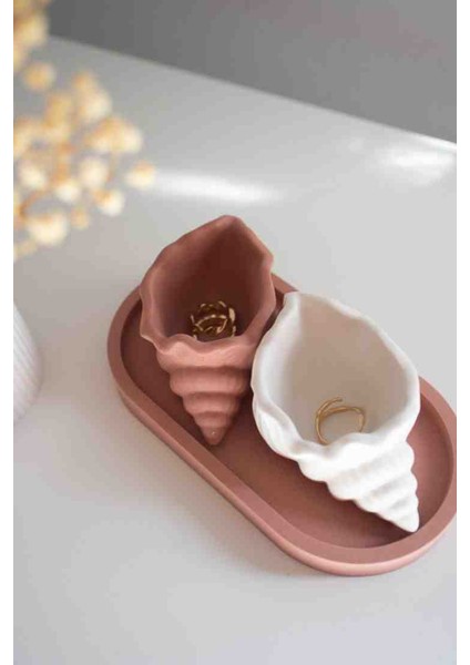 MelttCandle 3'lü Set Deniz Kabuğu Dekorasyon, Takı Kutusu Organizer