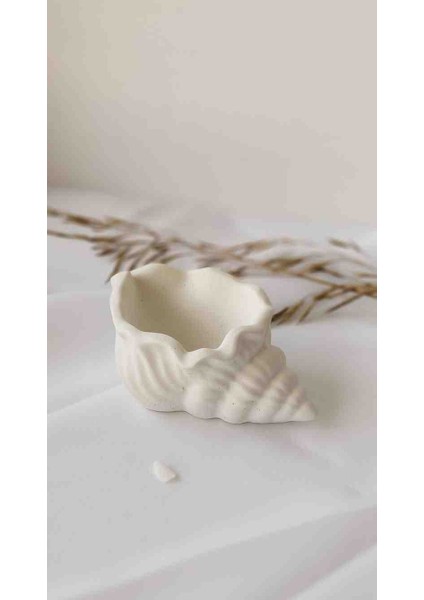 MelttCandle 3'lü Set Deniz Kabuğu Dekorasyon, Takı Kutusu Organizer fiyatları