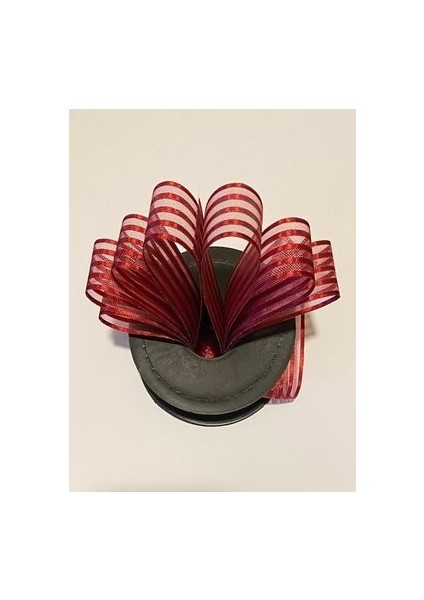 Çizgili Şifon Kurdele (Kurdale) 2.5cm x 20METRE. Renk No:8 fiyatları