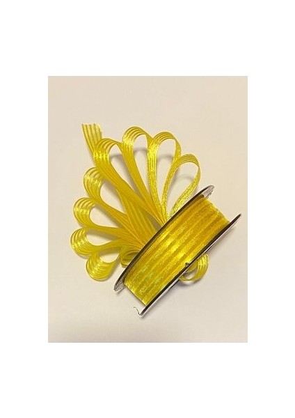 Çizgili Şifon Kurdele (Kurdale) 2.5cm x 20METRE. Renk No:5