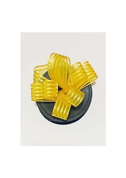 Çizgili Şifon Kurdele (Kurdale) 2.5cm x 20METRE. Renk No:5 modelleri