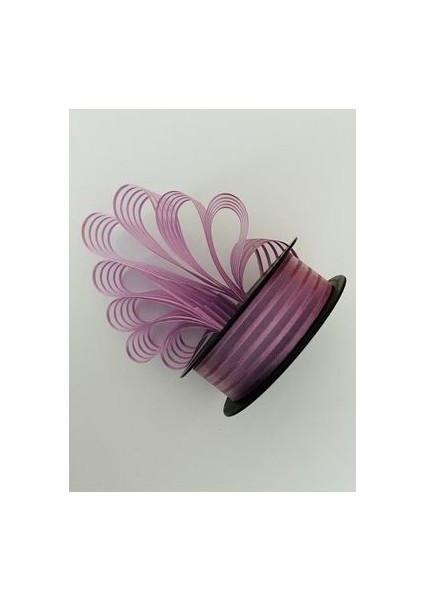 Çizgili Şifon Kurdele (Kurdale) 2.5cm x 20METRE. Renk No:18