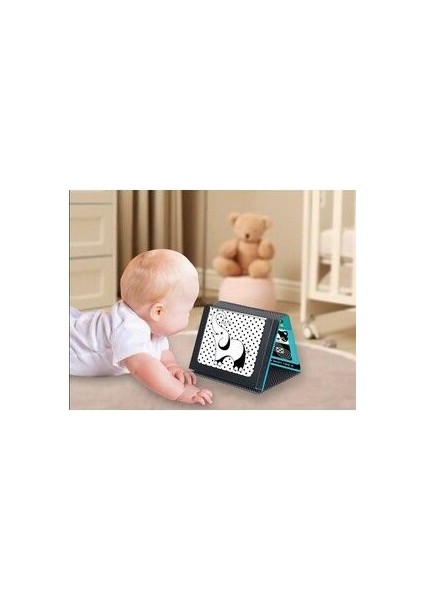 Tummy Time Aynalı Zeka Kartları modelleri
