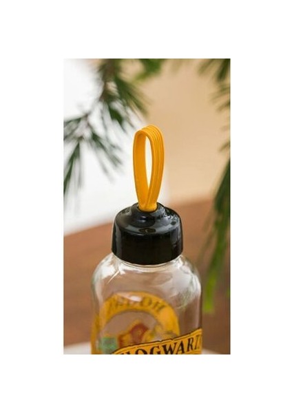 Hogwarts Baskılı Cam Matara 500 ml modelleri