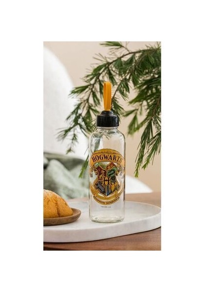 Hogwarts Baskılı Cam Matara 500 ml