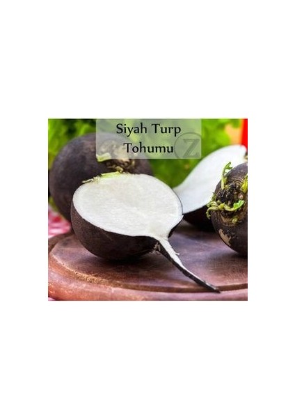 Siyah Turp Tohumu 1 Paket (10GR=1000+ Adet) Turp Tohumu Siyah