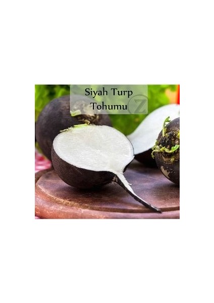 Siyah Turp Tohumu 1 Paket (10GR=1000+ Adet) Turp Tohumu Siyah fiyatları