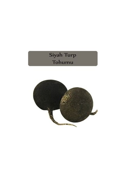 Siyah Turp Tohumu 1 Paket (10GR=1000+ Adet) Turp Tohumu Siyah modelleri