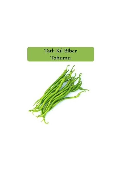 Tatlı Kıl Biber Tohumu 1 Paket (5 GR=700+ Adet) Tatlı Biber Tohumu fiyatları