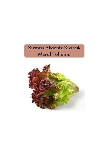 Kırmızı Marul Tohumu 1 Paket (1GR=850+ Adet) Akdeniz Kıvırcık Tohumu fiyatları