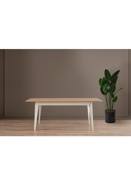 Nobel Masa Takımı modelleri