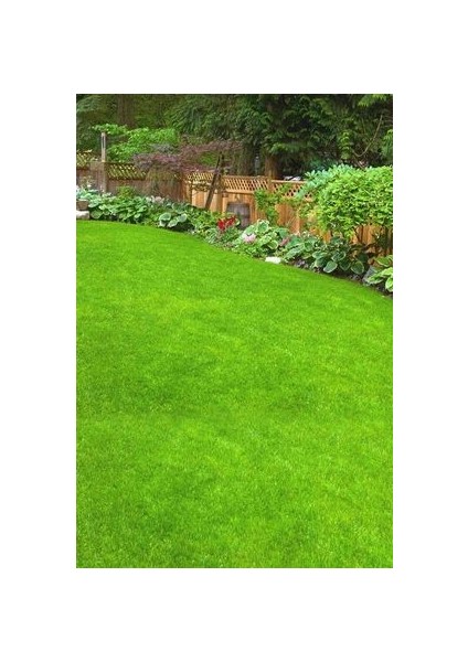 Çim Tohumu 30 Kg. ( 3 Çuval ) 7 Karışım Ithal Uygun Çim Tohumu 7m Açılmamış Orijinal Çuvalında Grass fiyatları