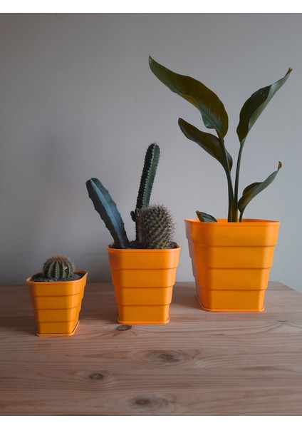Kornet Saksı Kare Set (8-12-16 Cm)