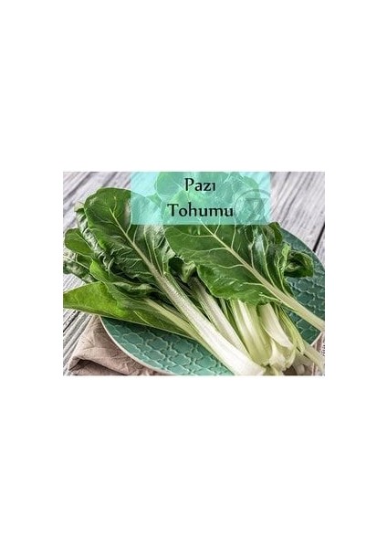 Pazı Tohumu 1 Paket (10GR=1000+ Adet)