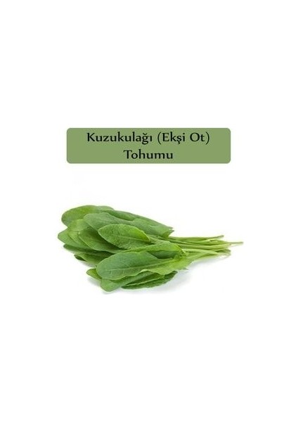 Ekşi Otu Tohumu Kuzukulağı Tohumu 1 Paket (1gr) Kuzu Kulağı Ekşimen Otu Tohumu fiyatları