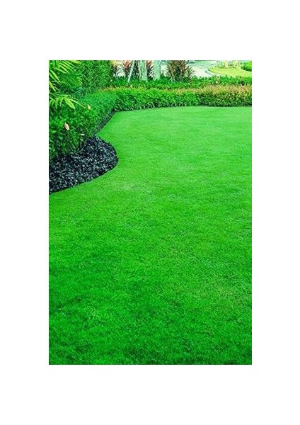 30 Kg. Çim Tohumu 6m Grass Mixture 3 Çuval Ithal Karışım Çim Tohumu Özel Tohum fiyatları
