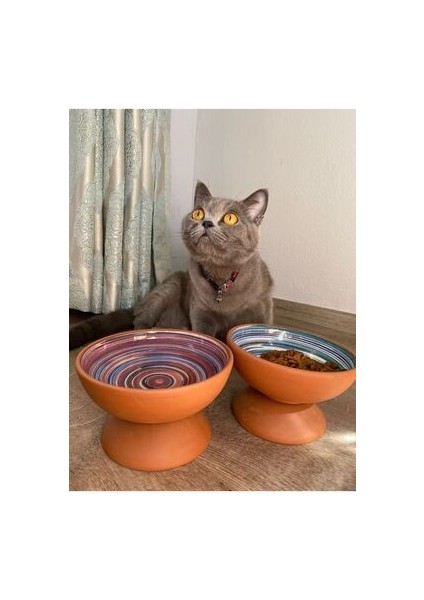 Çömlek 1ADET Desenli Mama-Su Kabı 15CM