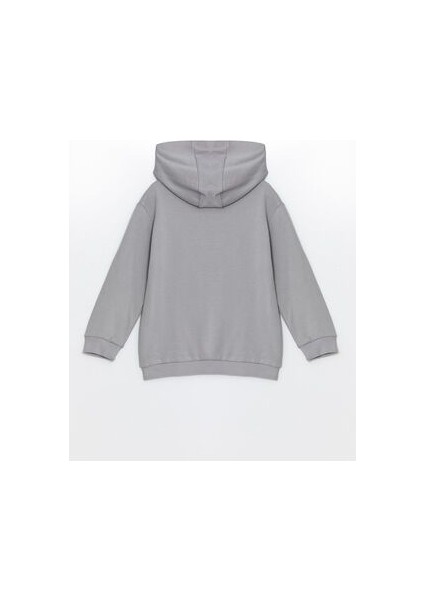 Kapüşonlu Uzun Kollu Baskılı Erkek Bebek Sweatshirt fiyatları