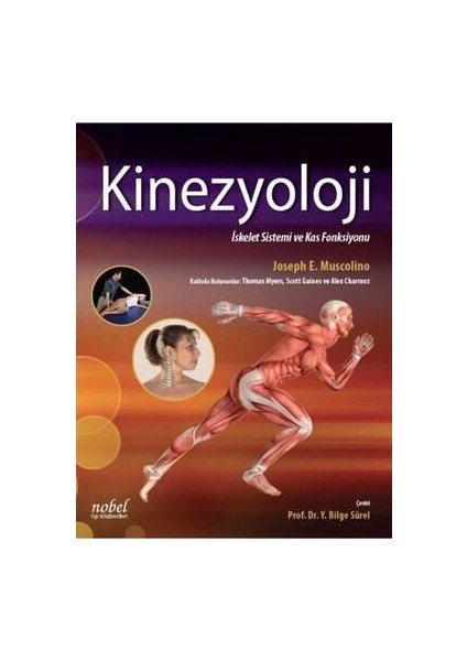 Kinezyoloji: İskelet Sistemi ve Kas Fonksiyonu Y. Bilge Sürel 760 Sayfa fiyatları