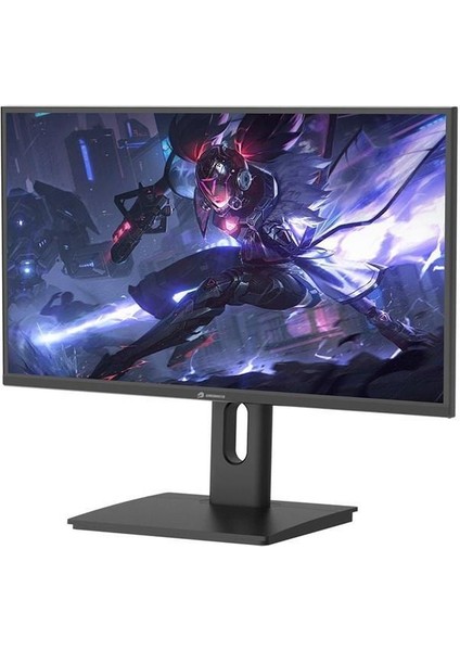 Gamebooster 27" Ss IPS GB-2729FF 0.5ms 280HZ Hdmı-Dp Pıvot Gamıng Monitör