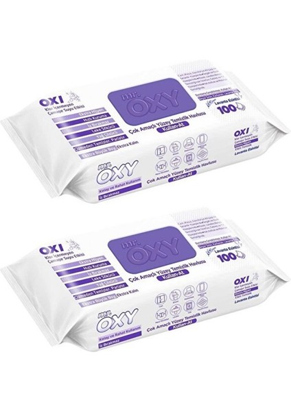 Yüzey Temizlik Havlusu 100 Yaprak Lavanta Esintisi Plastik Kapaklı 2'li Set 200 Yaprak