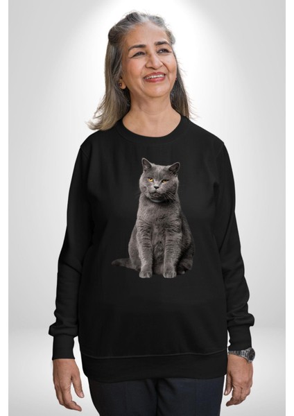 British Shorthair Kedi Kadın Erkek Siyah Sweatshirt fırsatları