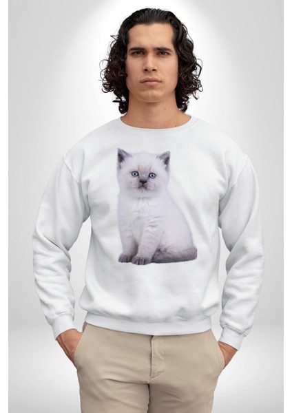 Beyaz Yavru Kedi Kadın Erkek Beyaz Sweatshirt modelleri