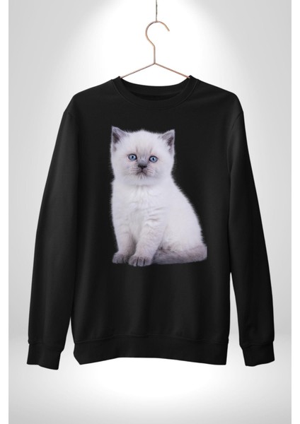 Siyah Yavru Kedi Kadın Erkek Siyah Sweatshirt fırsatları