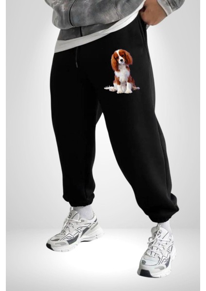Cavalier King Charles Spaniel 3 Iplik Erkek Baskılı Siyah Eşofman Altı