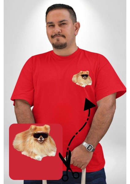 Pomernian Köpek Kırmızı Büyük Beden Kadın Basic Minimal Baskılı Tişört